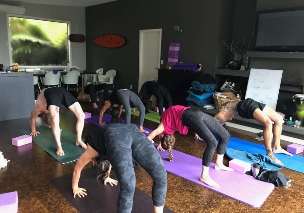 New zealand yoga teacher trainings
