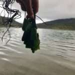 Pounamu blessing Lake Rotopounamu