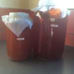 Asia Pacific Yoga Kombucha