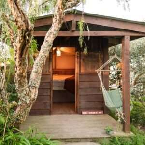 Asia Pacific Yoga Teacher Training Experience The Farm Hut