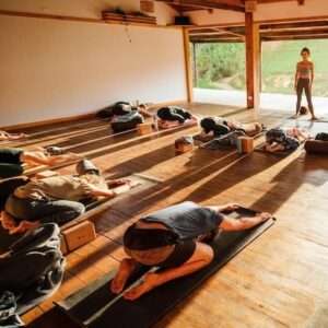 Asia Pacific Yoga Teacher Training The Farm square shala