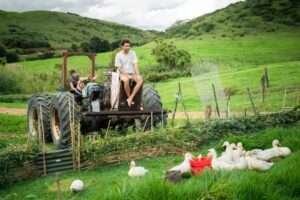 Asia Pacific Yoga Teacher Training Experience The Farm