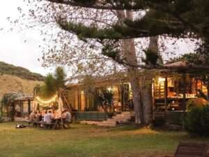 Asia Pacific Yoga Teacher Training Experience The Farm
