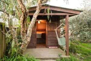 Asia Pacific Yoga Teacher Training Experience The Farm Accommodation
