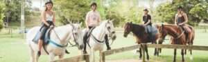 Asia Pacific Yoga Teacher Training Experience The Farm Header Horse-2