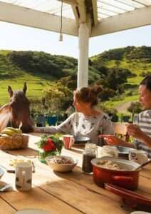 Asia Pacific Yoga Teacher Training Experience The Farm Meals