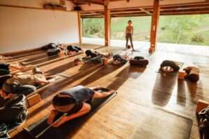 Asia Pacific Yoga Teacher Training Experience The Farm Yoga Shala
