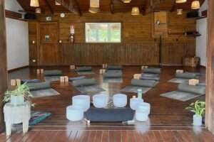 Asia Pacific Yoga Teacher Training Experience The Farm Yoga Shala