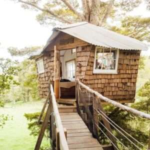Asia Pacific Yoga Teacher Training The Farm Accommodation Square