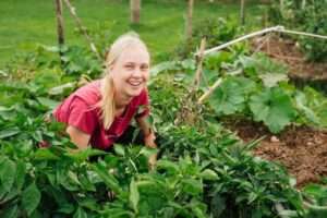 Asia Pacific Yoga Teacher Training The Farm